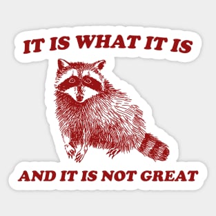 It Is What It Is And It Is Not Great, Funny Sweatshirt, Raccoon Sweatshirt, Cartoon Meme Top, Vintage Cartoon Sticker